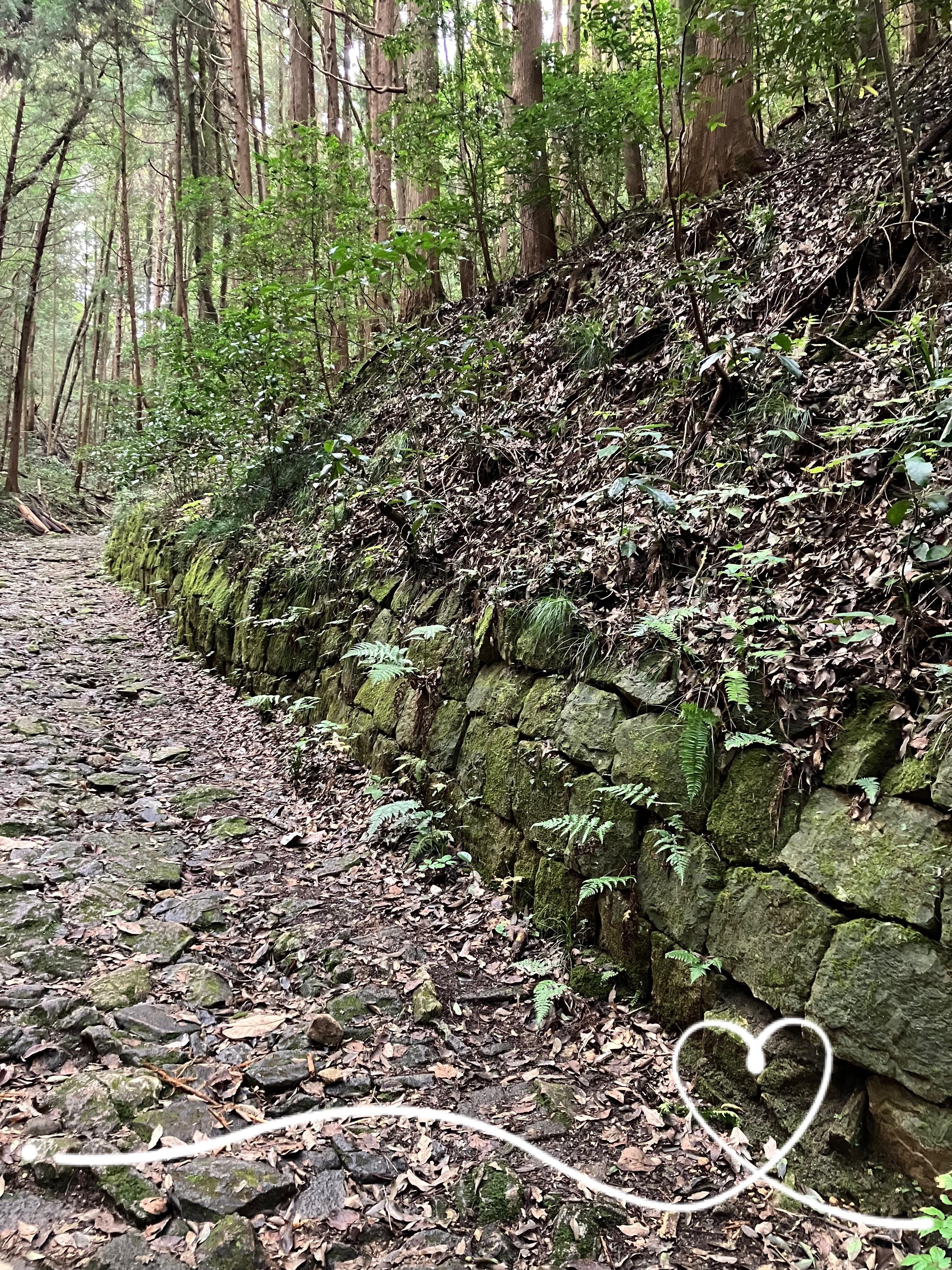 「しっとり、秋の山道にて」11/03(月) 18:02 | 吉川　みなみの写メ