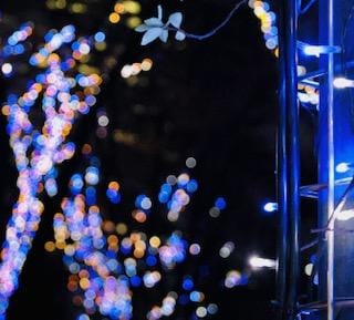 みく「ありがとうのきもち」11/03(月) 20:49 | みくの写メ