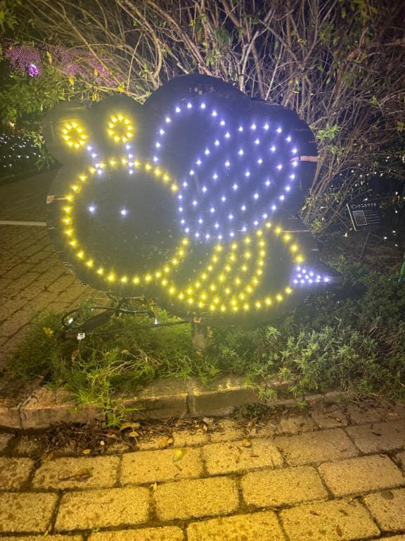 「おはよ！」11/04(火) 07:07 | 美甘-みかん【FG系列】の写メ