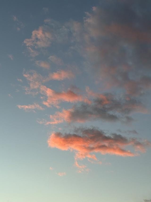 宇野えみり|堺風俗エステの最新写メ日記