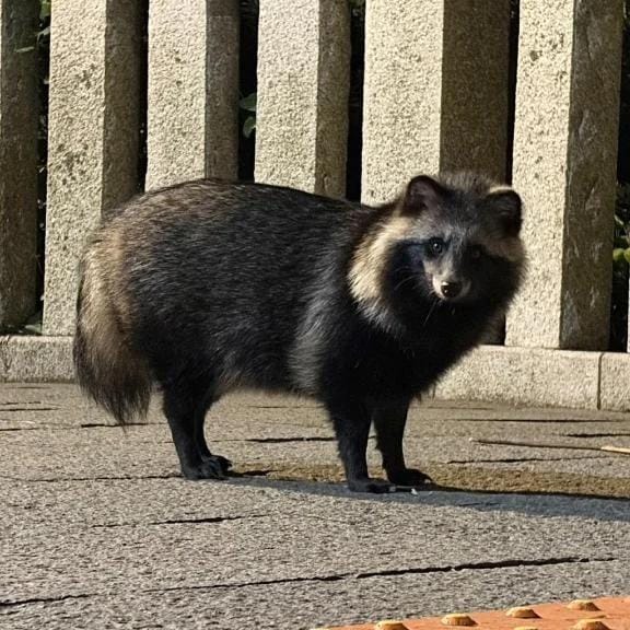 「ドライブしてきたっ」11/05(水) 10:49 | ななせの写メ日記