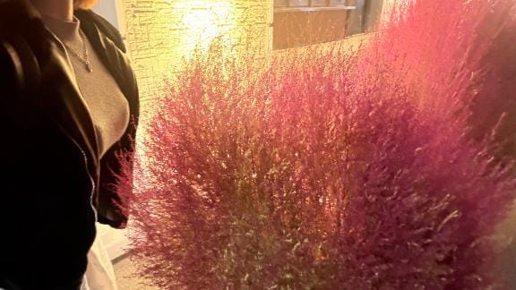 「いやぁー」11/05(水) 17:31 | れおの写メ日記