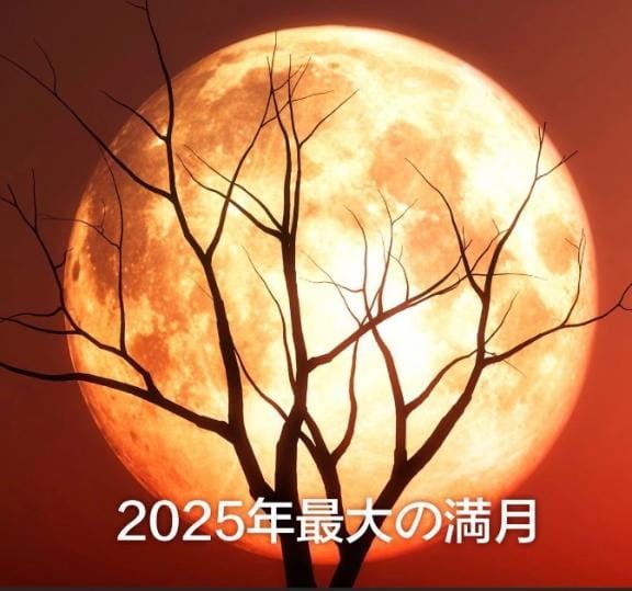 浅宮ゆり|鶯谷風俗の最新写メ日記