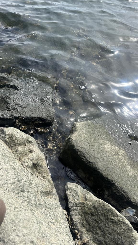 「健康」11/05(水) 23:47 | かやの写メ