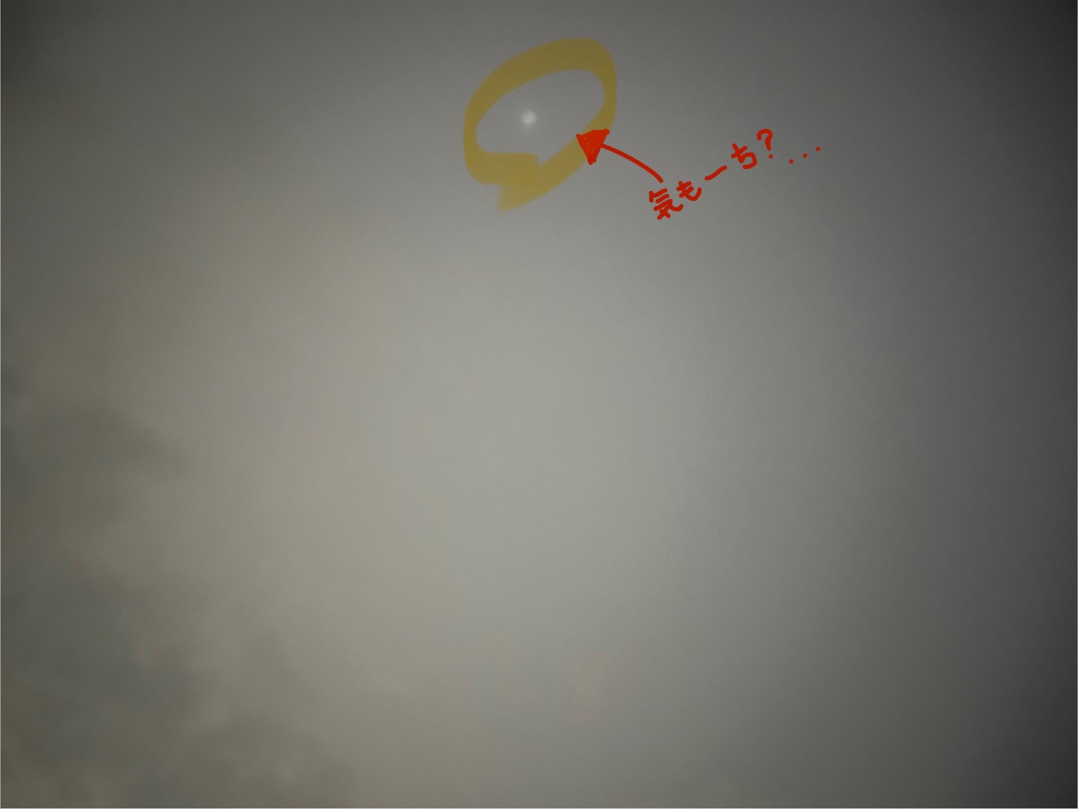 「あれ⁉️(￣▽￣;)」11/06(木) 08:14 | 淡海の写メ