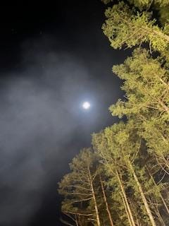 「何々⁉️」11/06(木) 09:19 | 淡海の写メ