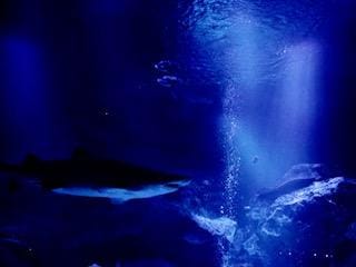 みく「ゆっくりと☆」11/06(木) 16:29 | みくの写メ