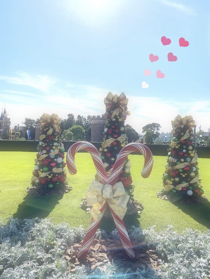 「今日もおります！⸜❤︎⸝‍」11/06(木) 17:44 | No.083:柳の写メ