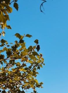 みく「こんばんは」11/07(金) 22:58 | みくの写メ