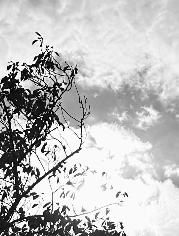 みく「退勤しました！」11/08(土) 18:32 | みくの写メ