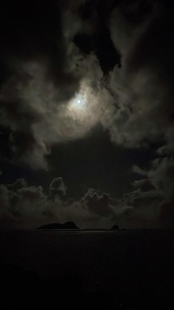 「おやすみ前に」11/09(日) 23:48 | みつりの写メ