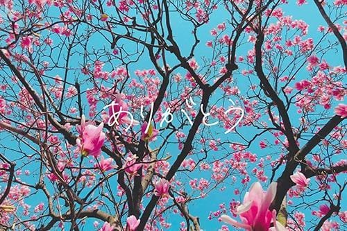 りお|厚木風俗の最新写メ日記