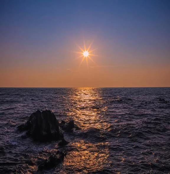 「ご予約完売* :ﾟ」11/10(月) 02:53 | リーサの写メ