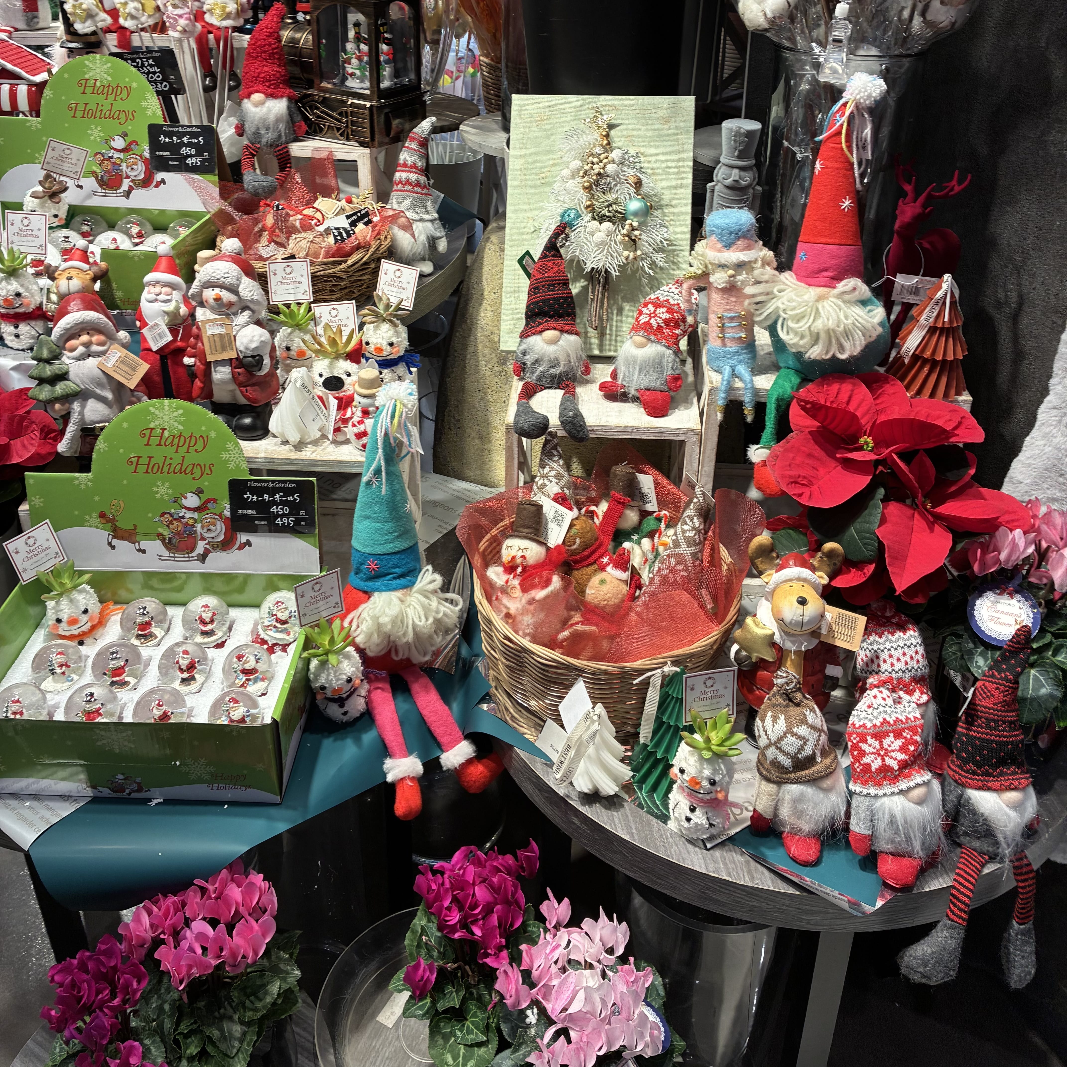 「かわいい」11/10(月) 05:55 | みことの写メ