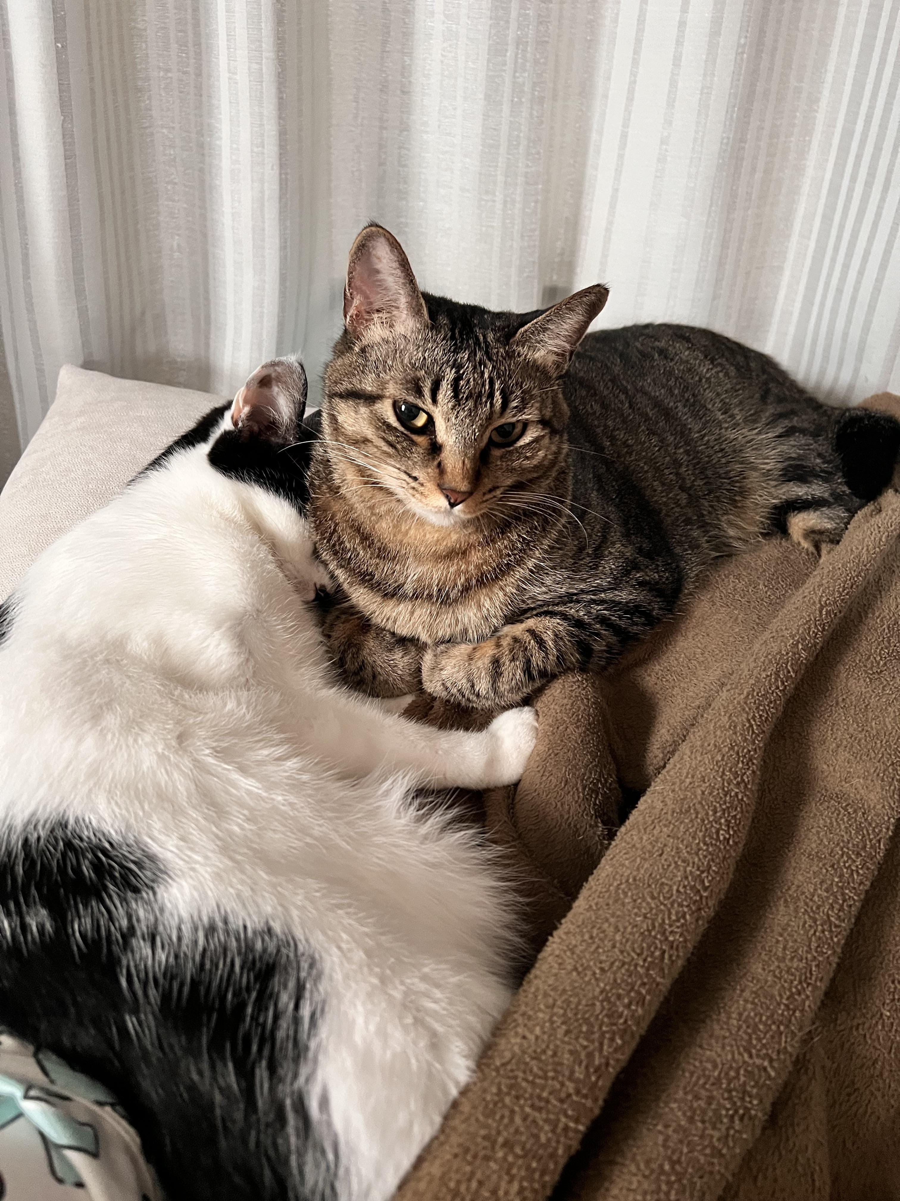 No.88 よつば「17:00〜24:00」11/10(月) 21:07 | No.88 よつばの写メ