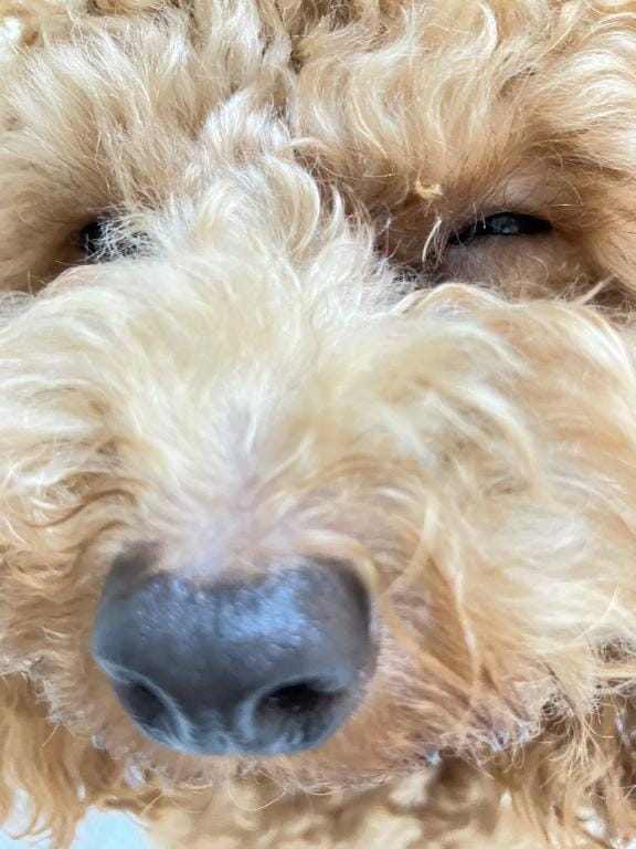 「ご予約ありがとうございます」11/10(月) 21:24 | 緒沢  恵美里の写メ