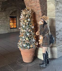 出勤しました♡