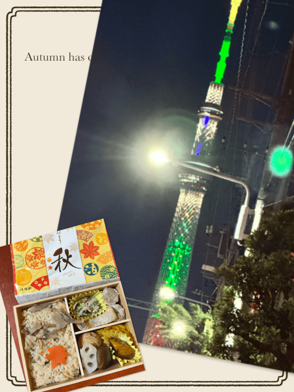 「寒くなったね」11/15(土) 10:07 | ミクの写メ