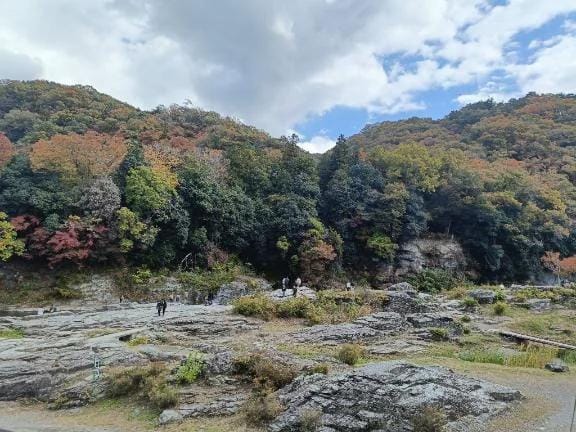 「出勤しました✨」11/15(土) 12:18 | 新人ゆきなの写メ