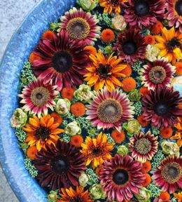 ありがとうございました