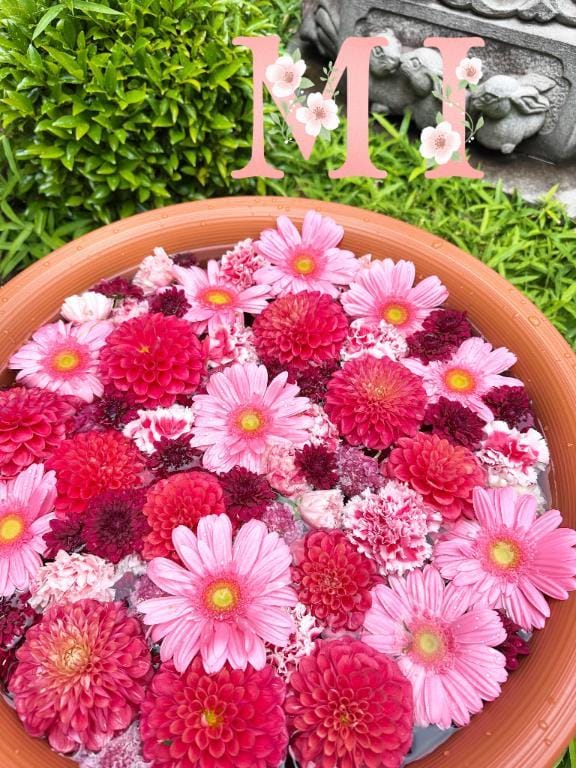 「お膝にいっぱい(*´ｪ`*)」11/17(月) 11:07 | 大西 みさきの写メ日記