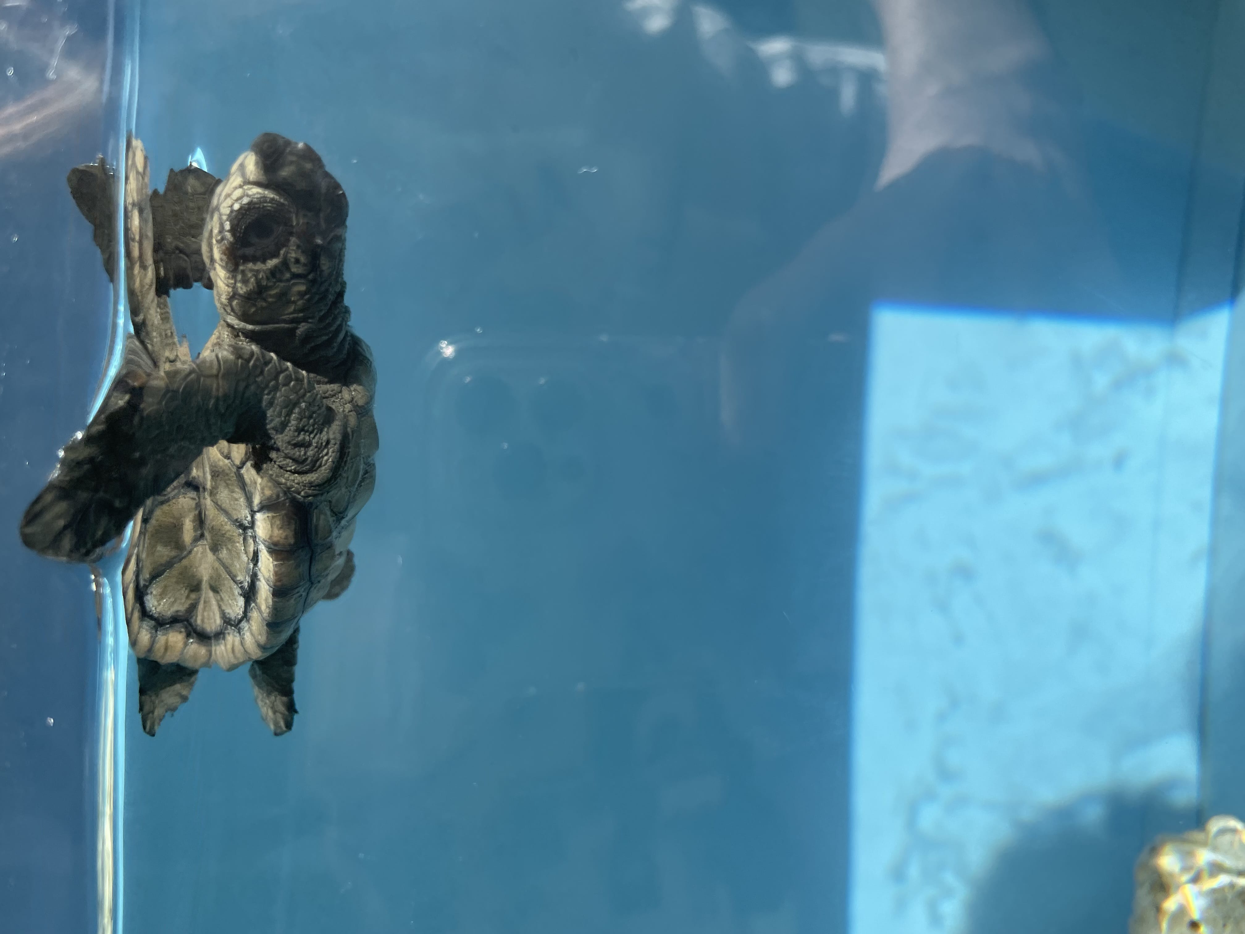 みつき|平塚ピンサロの最新写メ日記