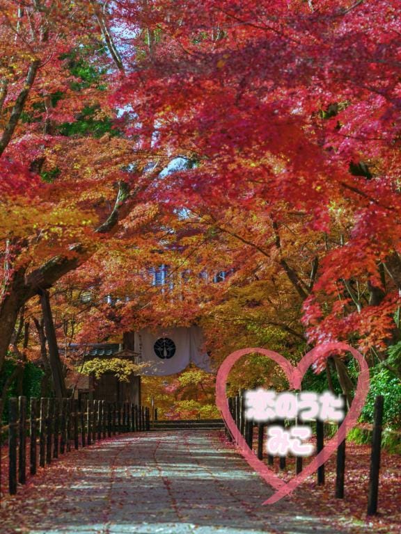 「11月2日＆3日のお礼❣️」11/19(水) 23:34 | みこ未経験の写メ