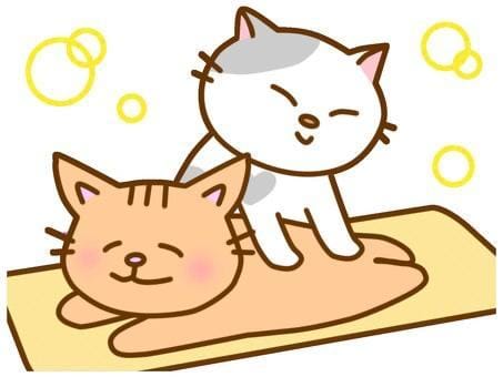 「ぎっくり背中⚡️」11/20(木) 00:18 | くれはの写メ