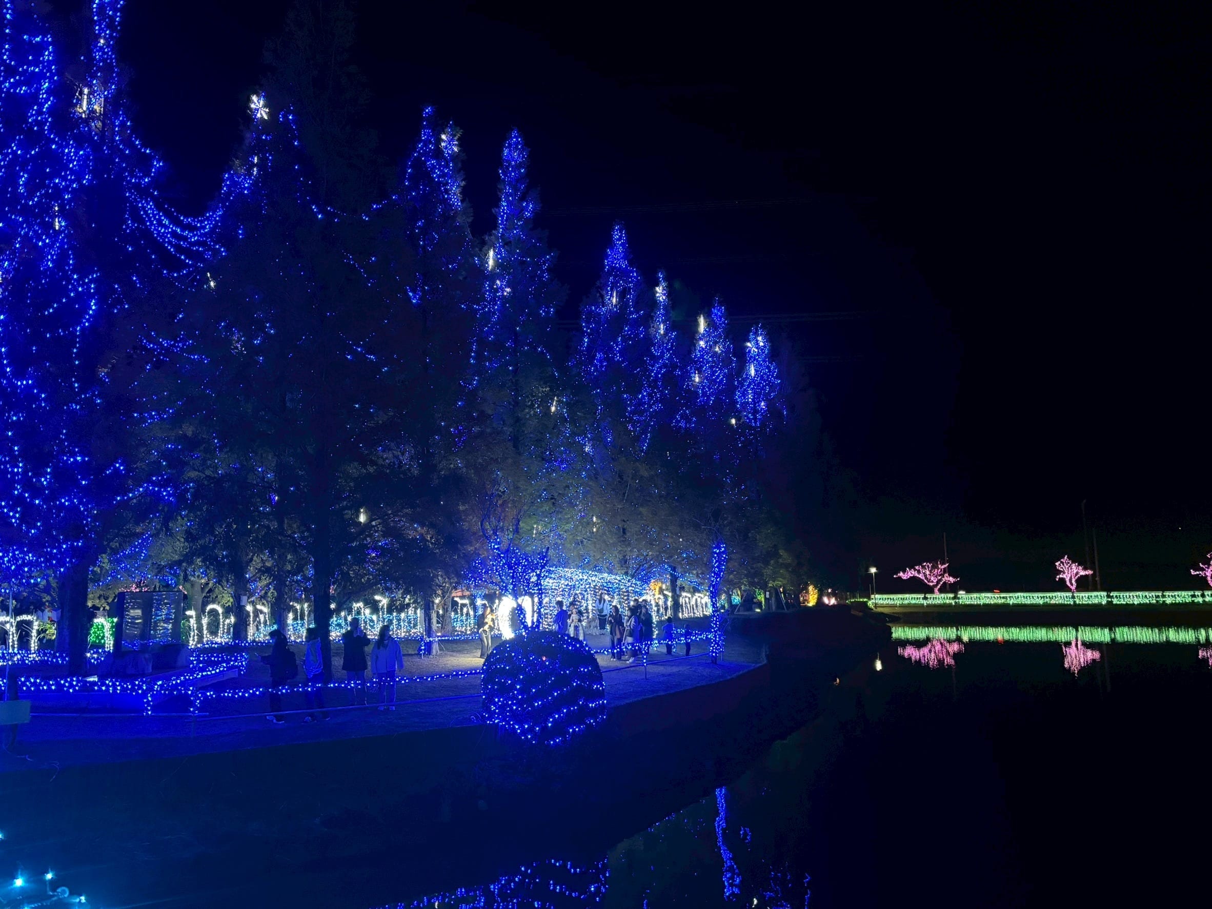 「えみです‪‪❤︎‬11月21日‪‪❤︎‬」11/21(金) 13:25 | えみの写メ