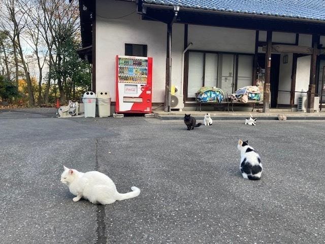 「本日☆」11/22(土) 18:37 | せなの写メ