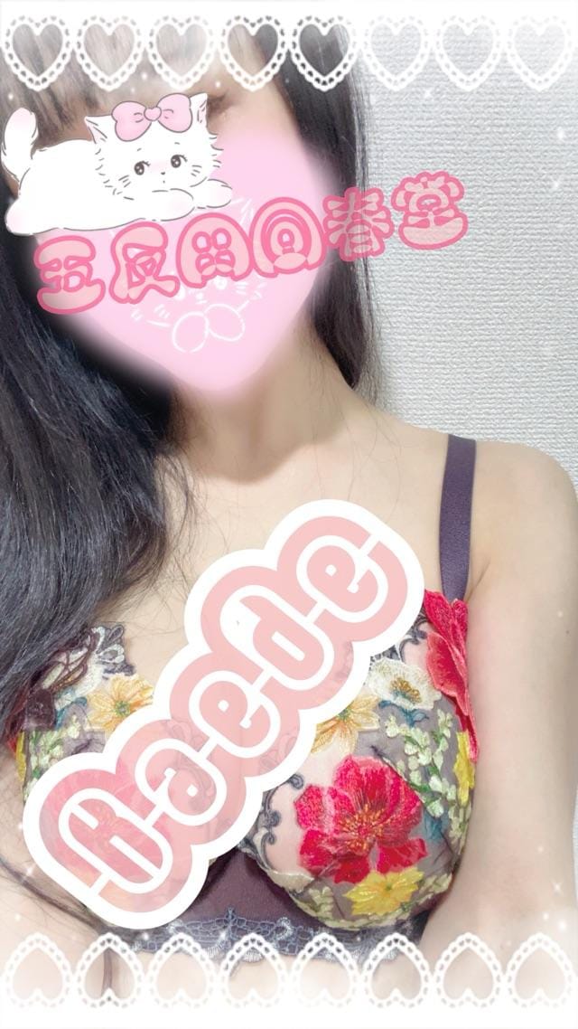 「12月1月・定期お知らせ」11/23(日) 00:06 | 楓-かえで-の写メ