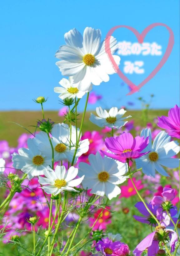 「11月14日＆15日のお礼❣️」11/23(日) 14:37 | みこ未経験の写メ