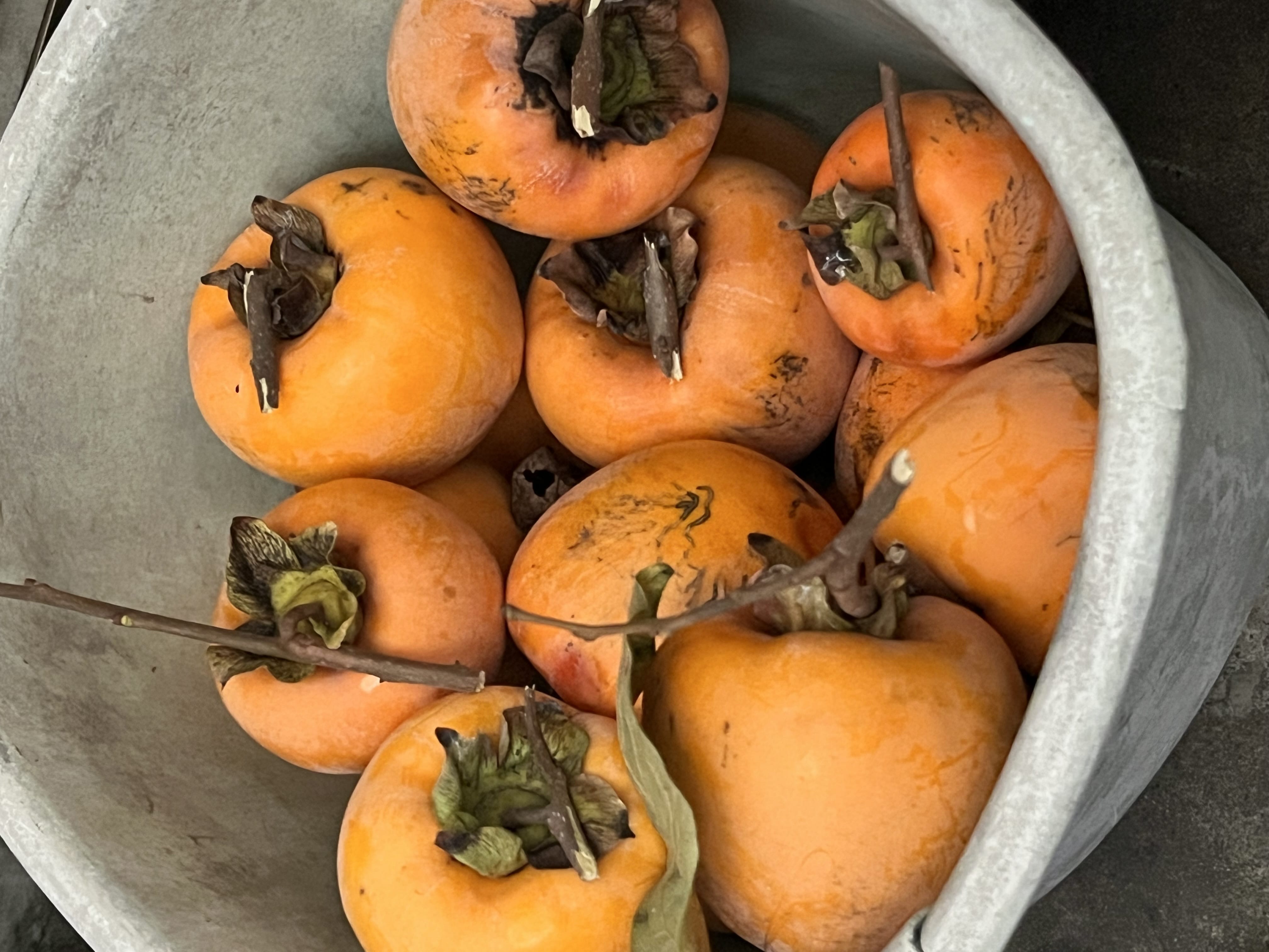 「つむぎです！」11/23(日) 18:25 | つむぎの写メ