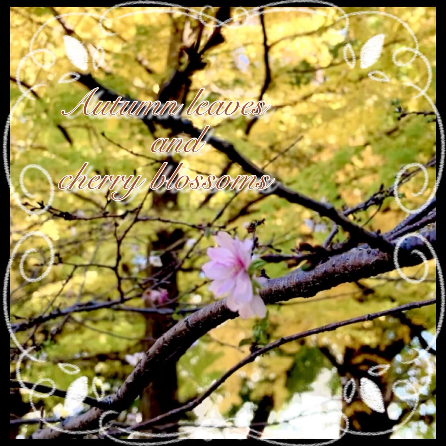 ☆今週の出勤情報☆