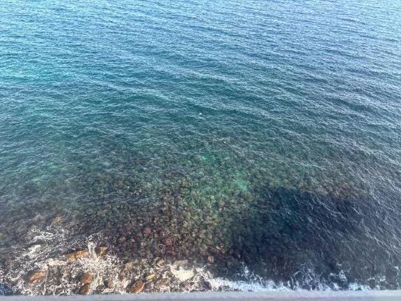 「ドキッとしたい？」11/24(月) 11:05 | アヤカの写メ