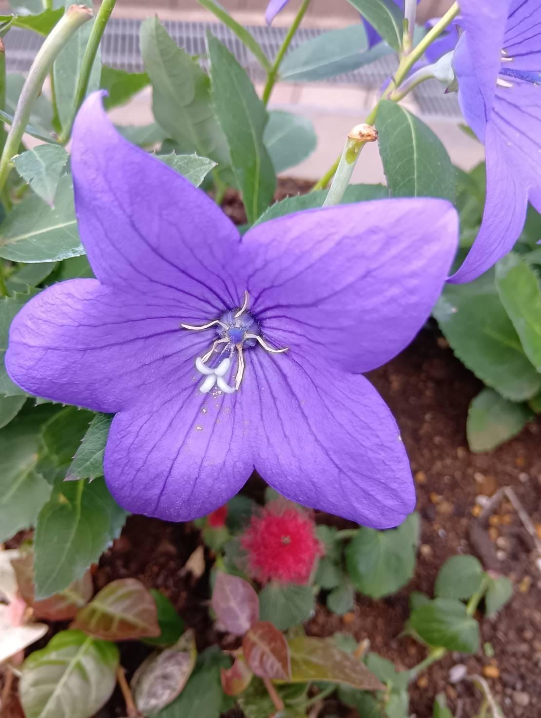 「こんにちわ」11/25(火) 11:01 | さゆりの写メ