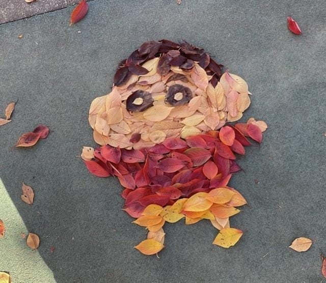 「おはようございます」11/26(水) 09:57 | 大原の写メ