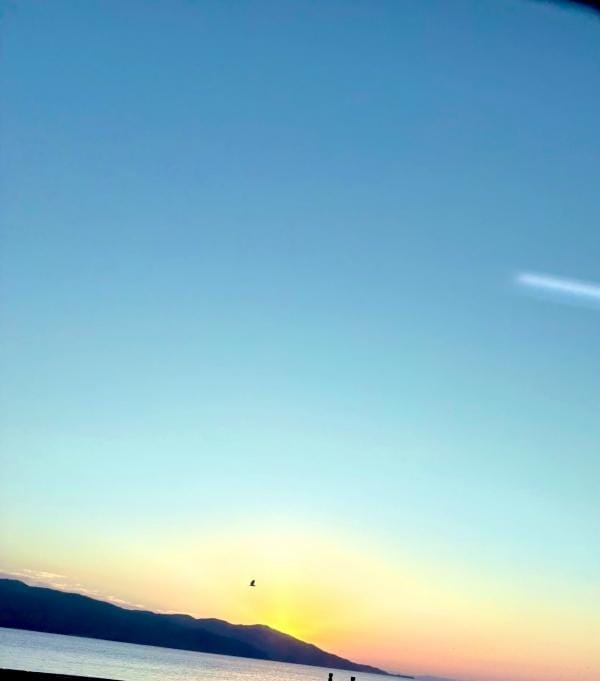 「このところ毎週山の麓と海に行ってるんですが」11/26(水) 12:31 | 蛇苺の写メ