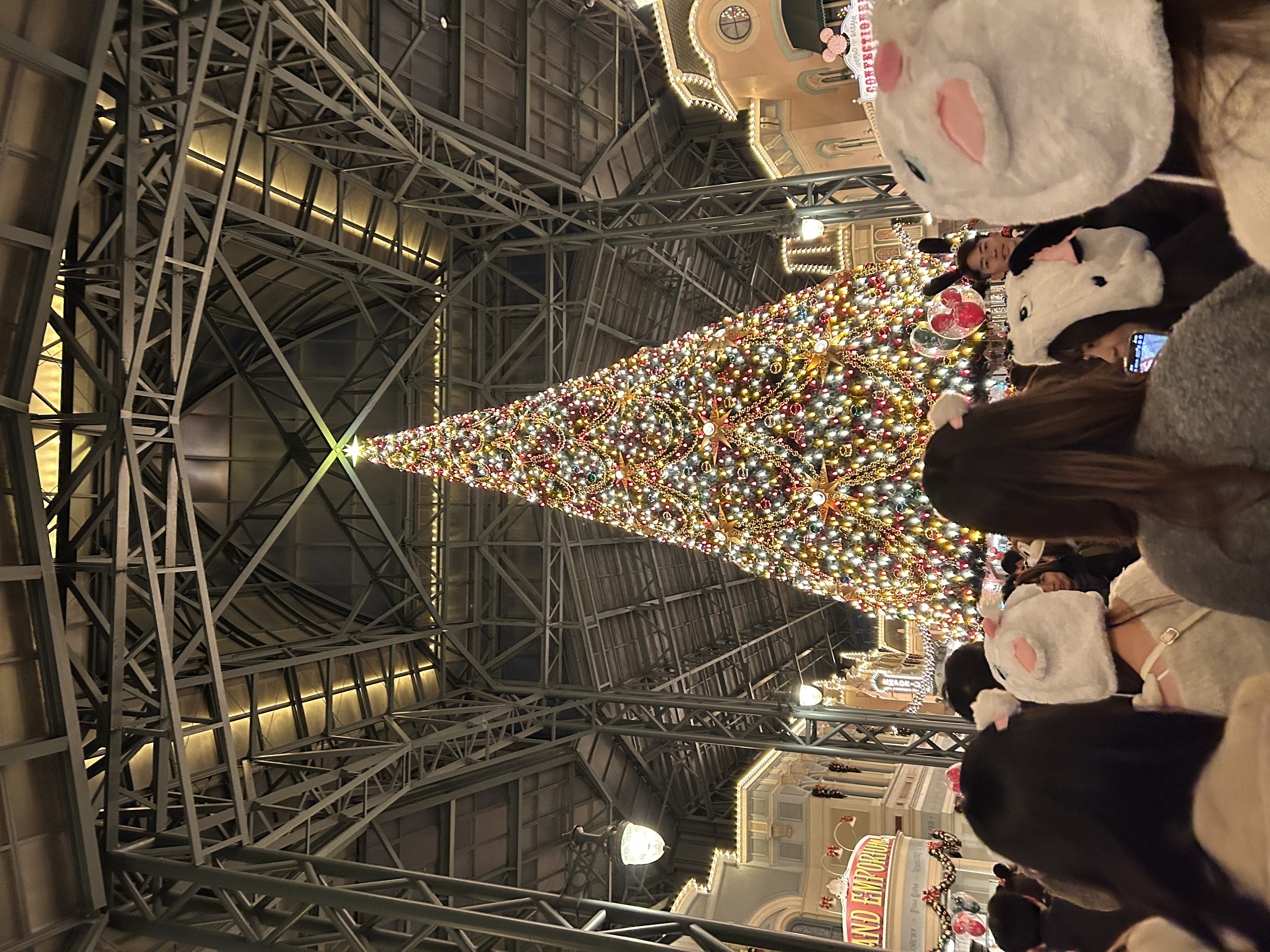 「なるみ」11/26(水) 14:53 | なるみの写メ