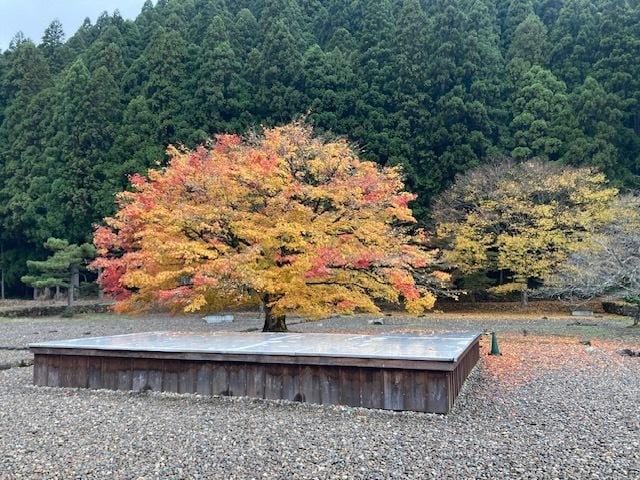 「本日☆」11/26(水) 17:47 | せなの写メ