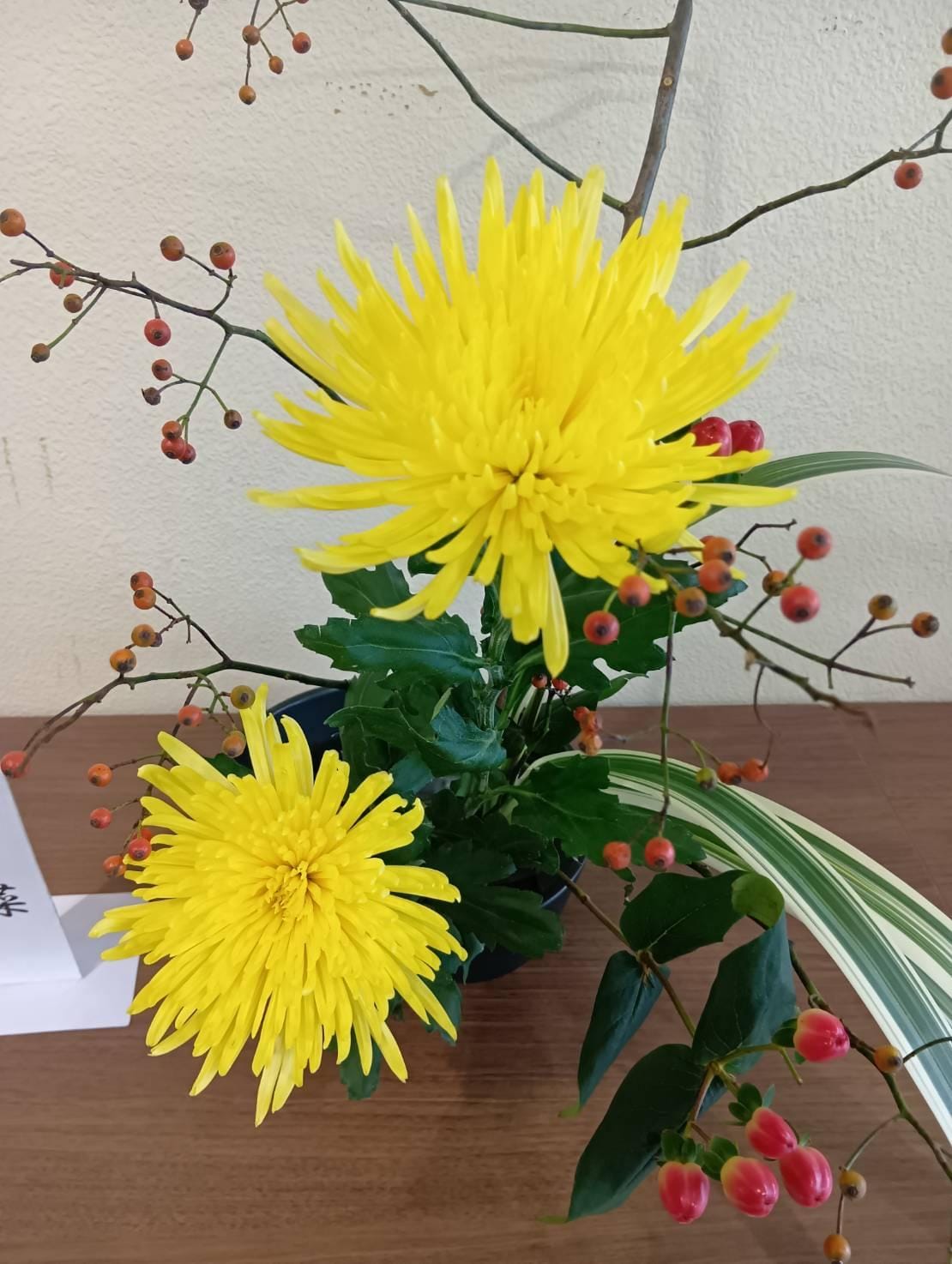 「こんにちわ」11/30(日) 10:59 | さゆりの写メ