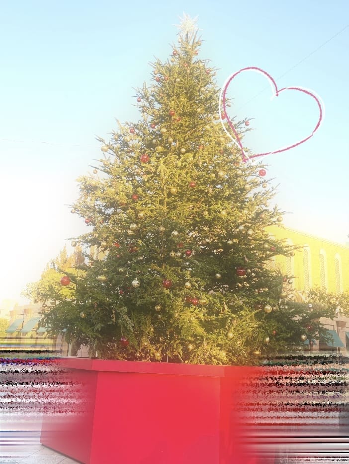 「11月さいご！⸜❤︎⸝‍」11/30(日) 20:58 | No.083:柳の写メ