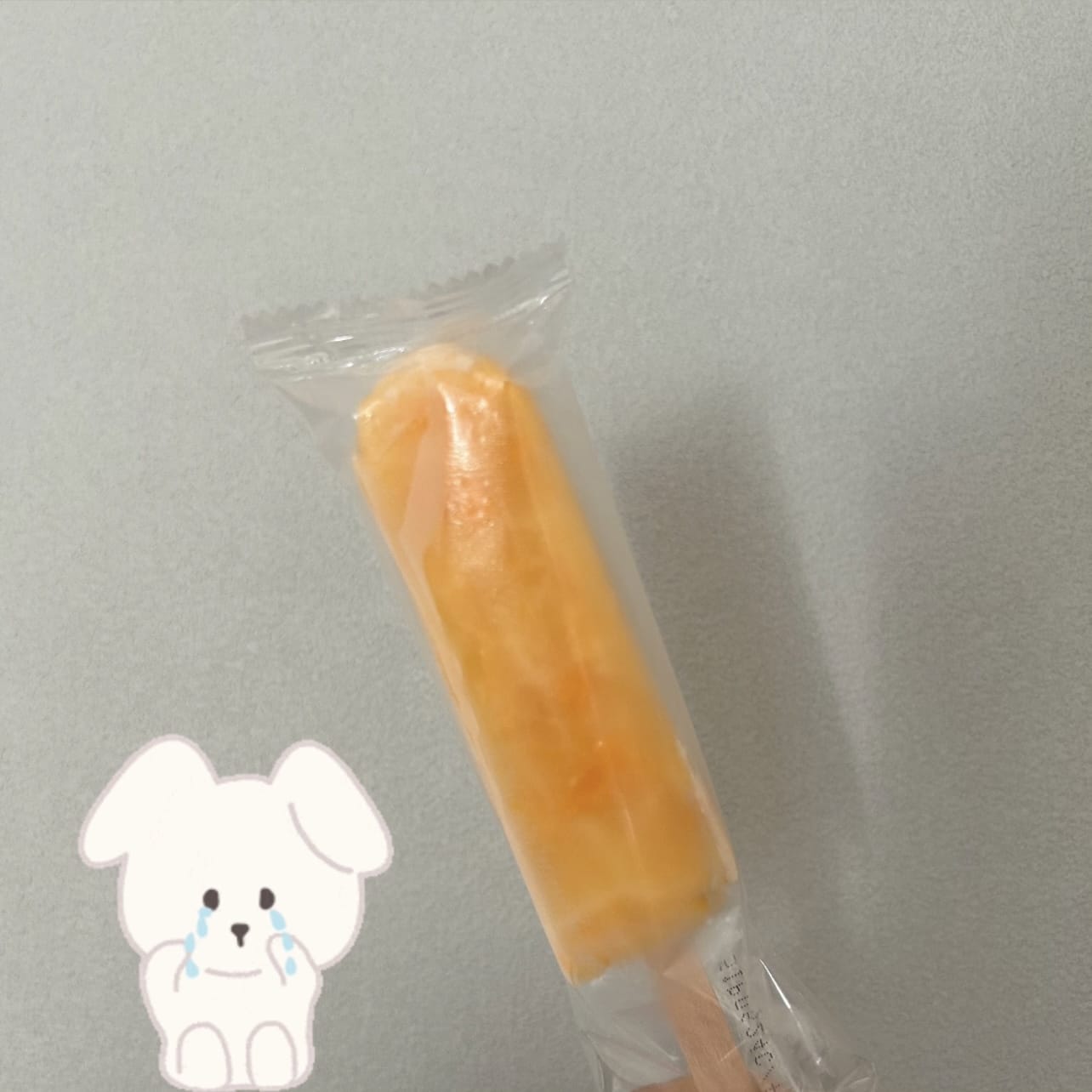 「おしらせ」12/01(月) 14:32 | りんごの写メ