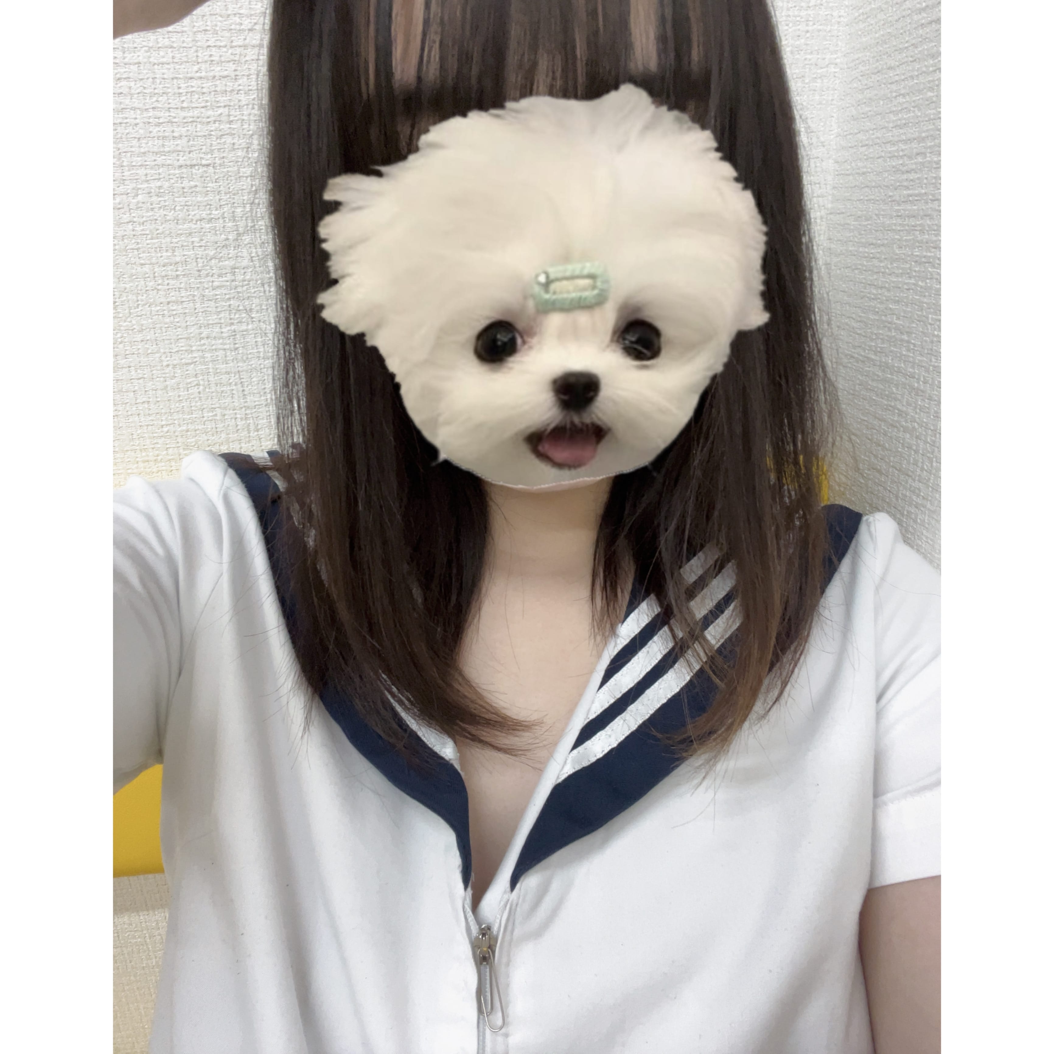 「21じまでいます！」12/02(火) 16:16 | No.47:秋田の写メ