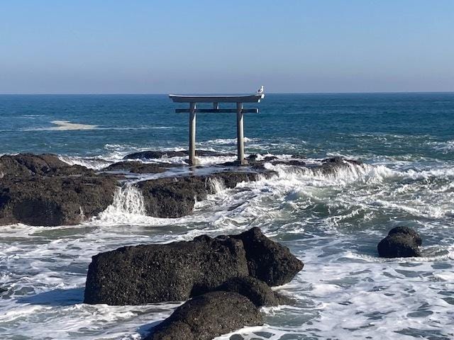 「12月☆」12/02(火) 18:02 | せなの写メ