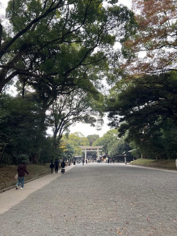 「初めて多し」12/04(木) 00:07 | Gの未体験衝撃『あおい』の写メ