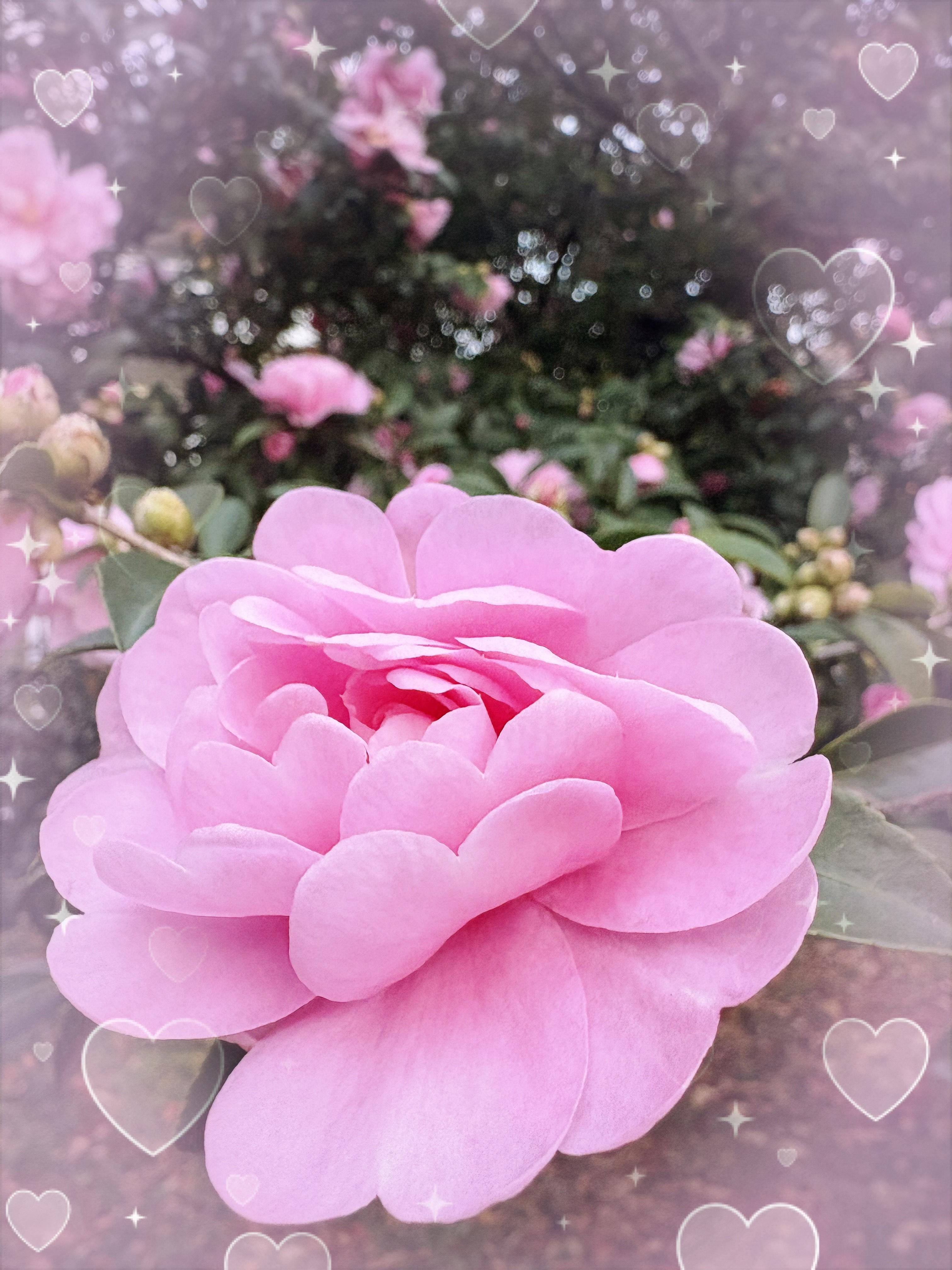 おはようございます