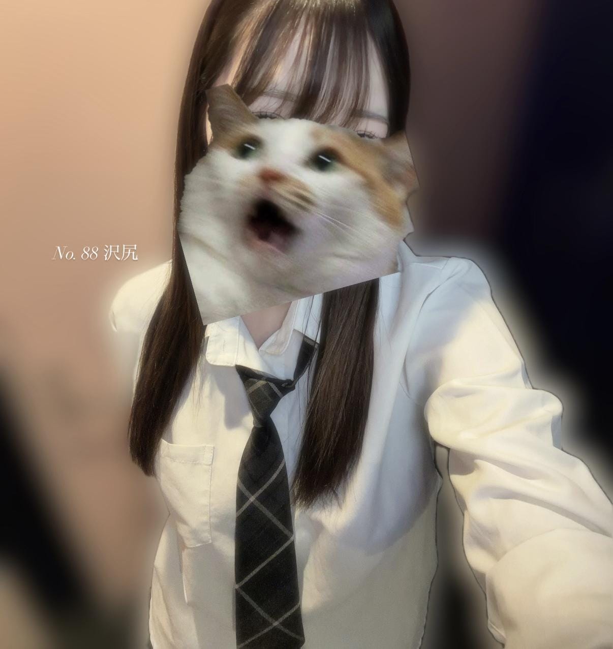 「‎」12/04(木) 20:32 | 沢尻の写メ