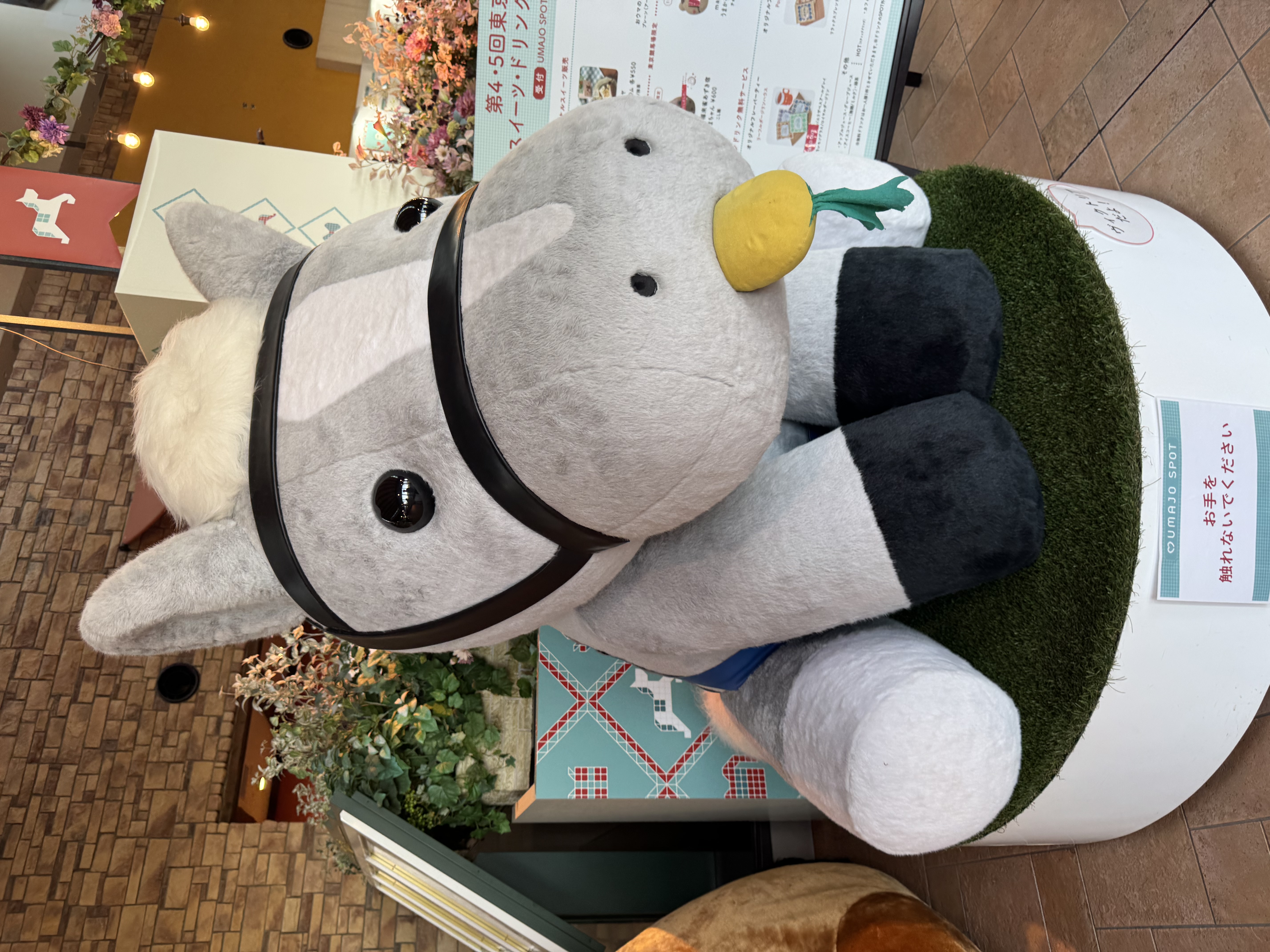 No31 峰山「No.31 峰山」12/04(木) 20:37 | No31 峰山の写メ