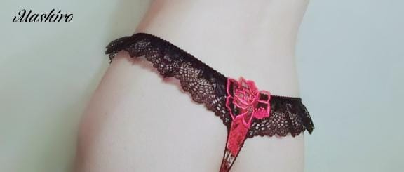 「ガーターベルト」12/05(金) 00:18 | 真白夫人(北)の写メ